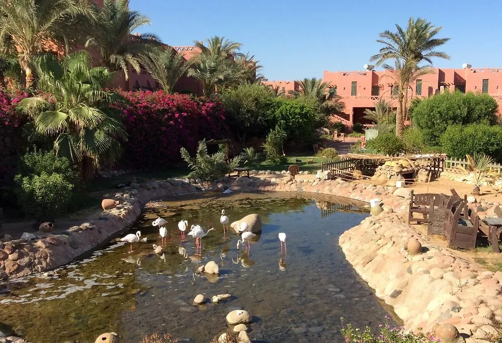 Hauza Beach Resort & Aqua-1