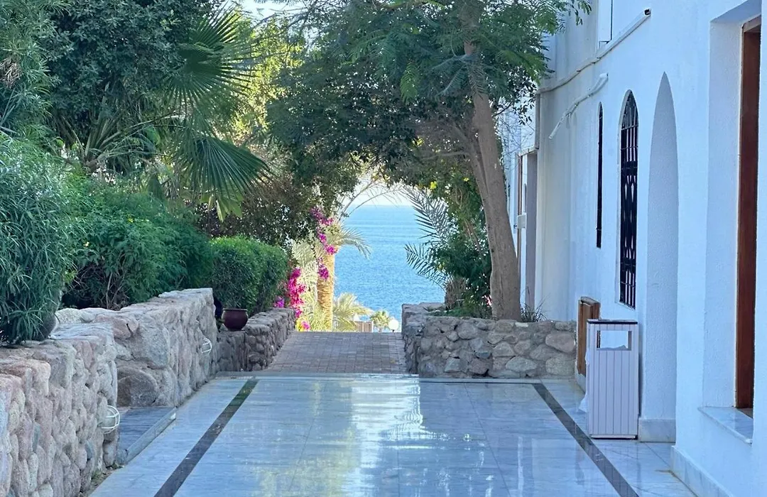 Suite Privata con balcone Aquamarine al Domin Coral Bay, Resort Diving, Spa&casinò-1