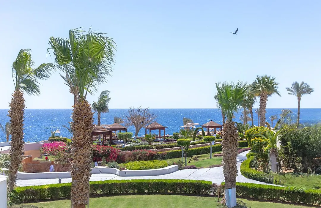Royal Monte-Carlo Sharm Resort & Spa (Adults Only)-1
