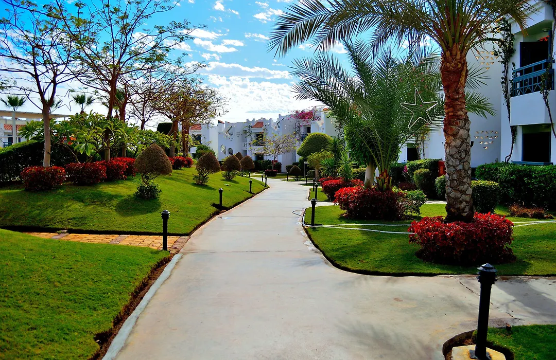 Jaz Neo Naama Bay-1