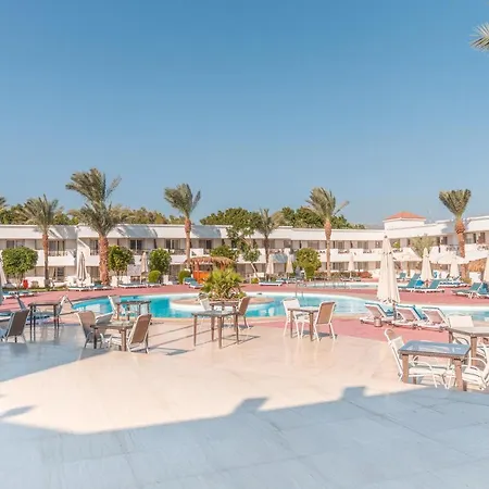 Viva Sharm-2