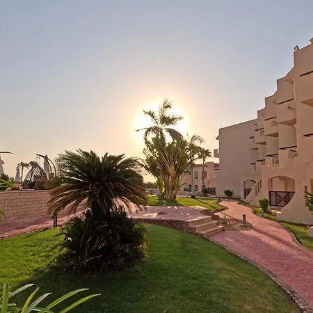 Ivy Cyrene Sharm Resort Adults Friendly Plus 13-2