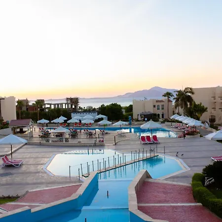 Ivy Cyrene Sharm Resort Adults Friendly Plus 13-3