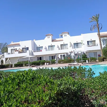 Naama Wiew- Alle Due Palme-3