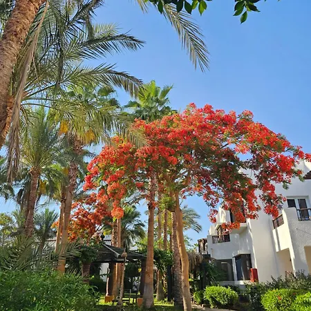 Blue Bay Apartments Delta Sharm-3