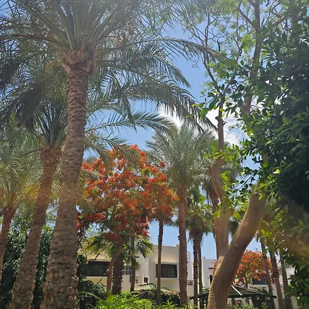 Blue Bay Apartments Delta Sharm-2