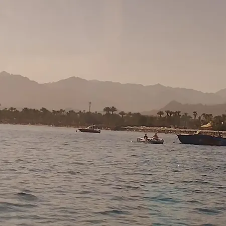 Naama Wiew- Alle Due Palme-2