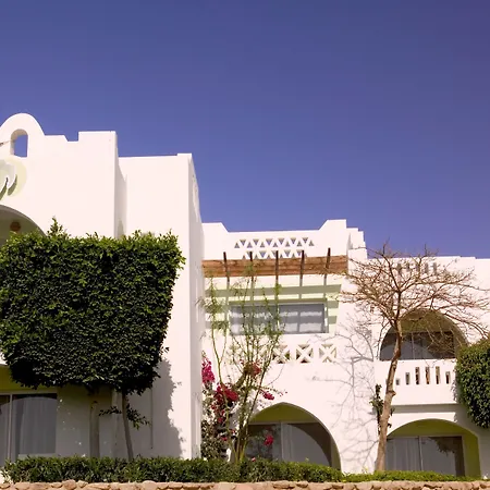 Domina Oasis Hotel & Resort-2