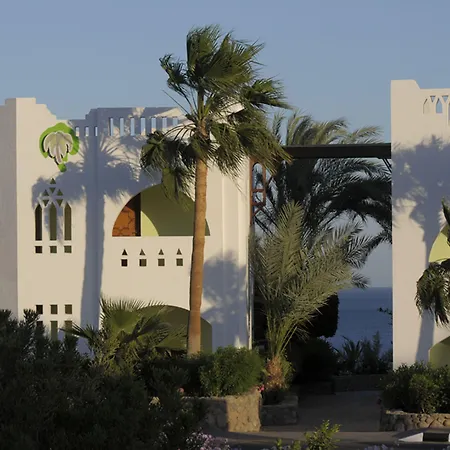 Domina Oasis Hotel & Resort-3