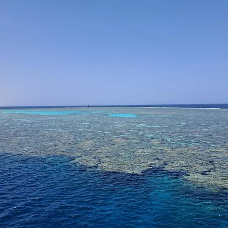 Roby acqua marine Coral bay-2