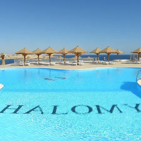 Grand Halomy-2