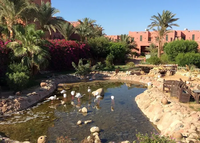 Hauza Beach Resort & Aqua Sharm el-Sheikh, Egypt