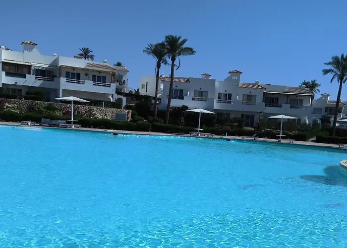 Naama Wiew- Alle Due Palme