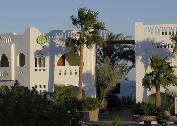 Domina Oasis &